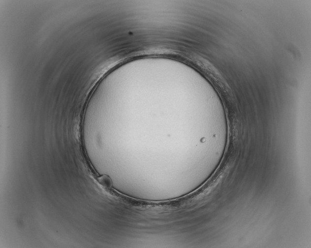 X0000111511177200908111302