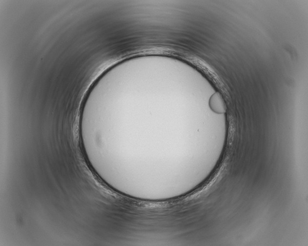 X0000111511178200908111302