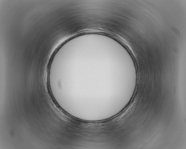X0000111511179200908111302