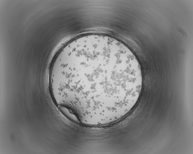 X0000111511180200908111302