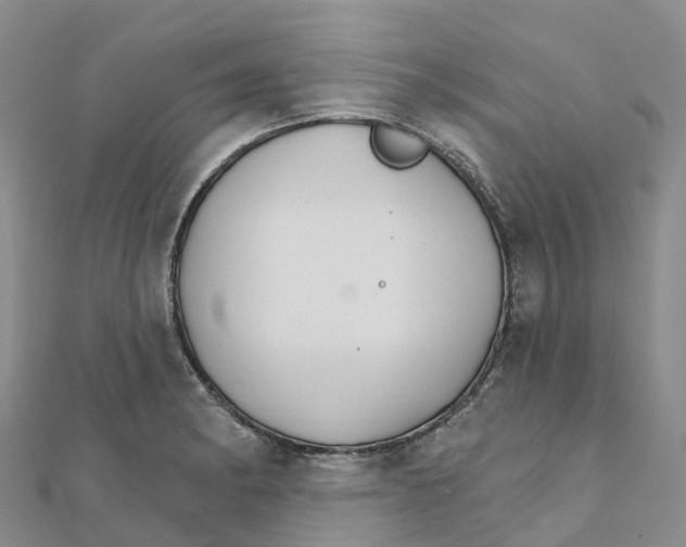 X0000111511182200908111302