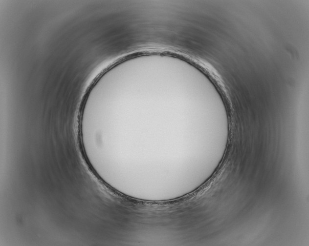 X0000111511183200908111302