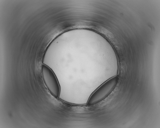 X0000111511185200908111302