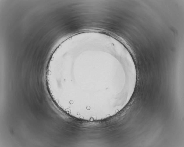 X0000111511187200908111302
