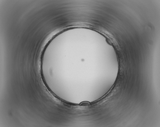 X0000111511188200908111302