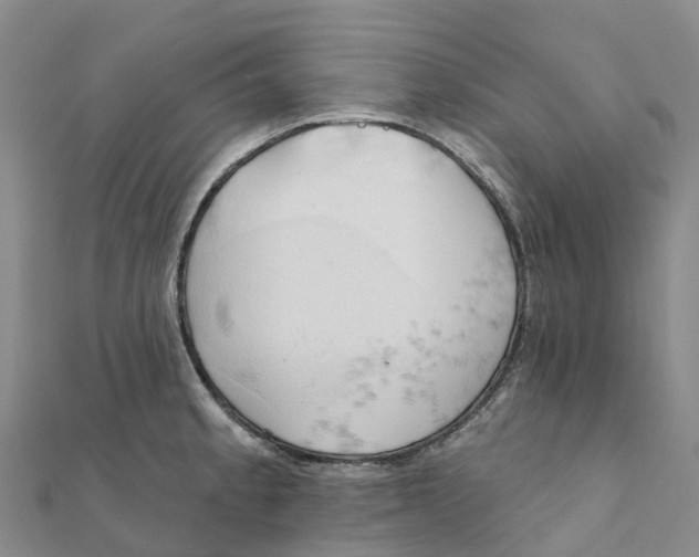 X0000111511189200908111302