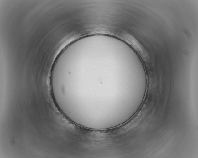 X0000111511190200908111302