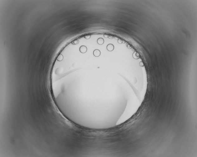 X0000111511191200908111302
