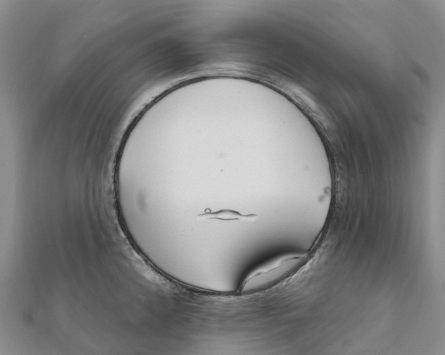 X0000111511192200908111302