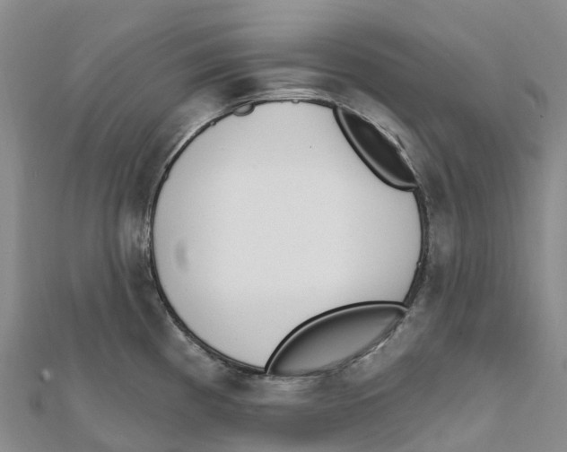 X0000111511193200908111302