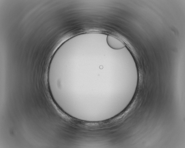 X0000111511194200908111302