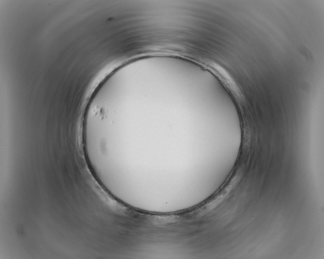 X0000111511196200908111302