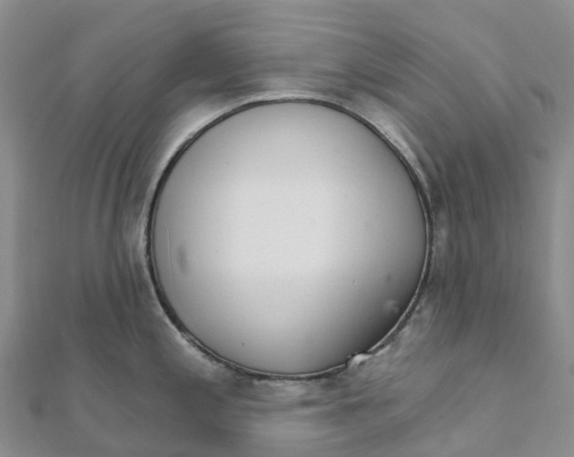 X0000111511197200908111302