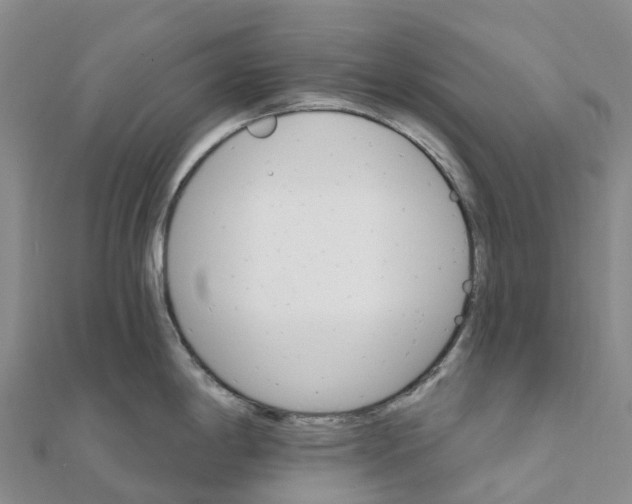X0000111511198200908111302