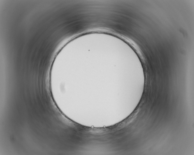 X0000111511199200908111302