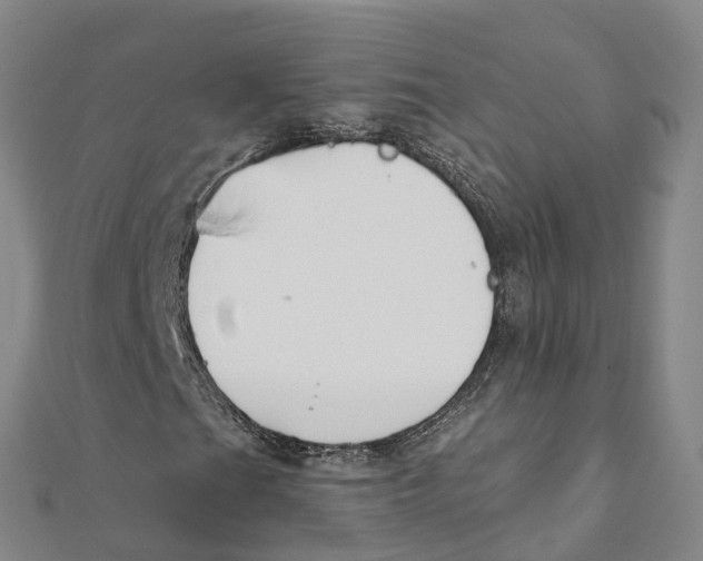 X0000111511201200908111301