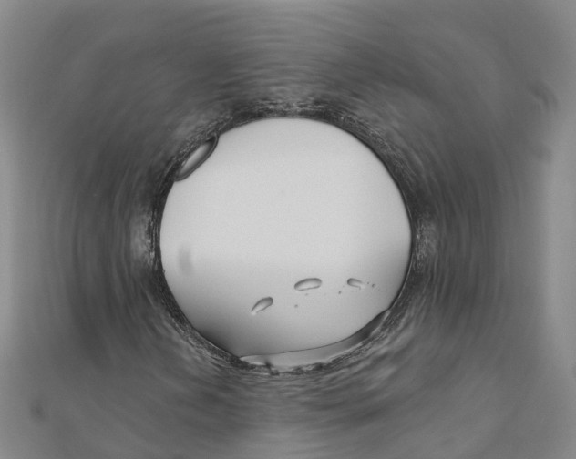 X0000111511202200908111301