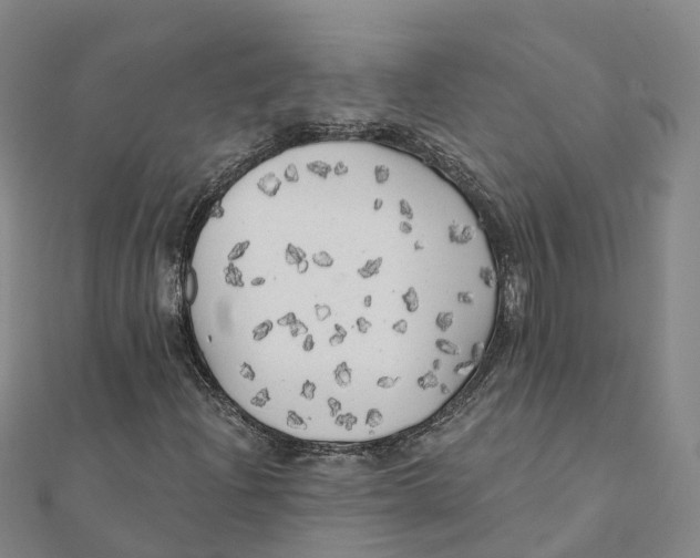 X0000111511204200908111301