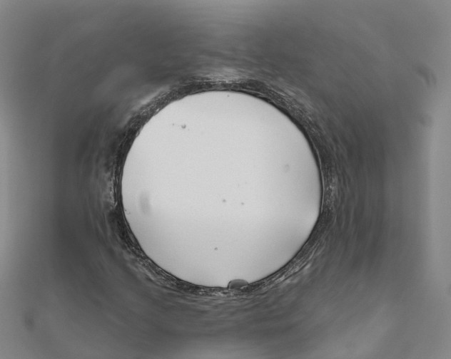 X0000111511205200908111301