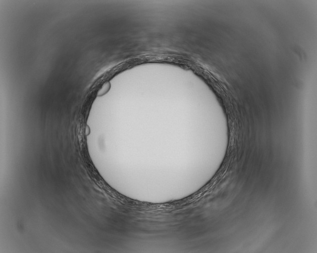 X0000111511206200908111301