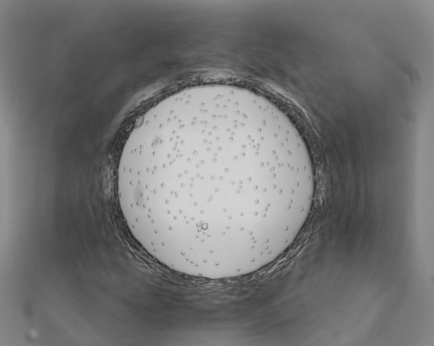X0000111511207200908111301