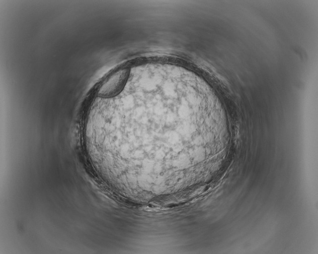 X0000111511208200908111301