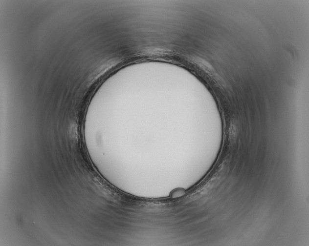 X0000111511209200908111301