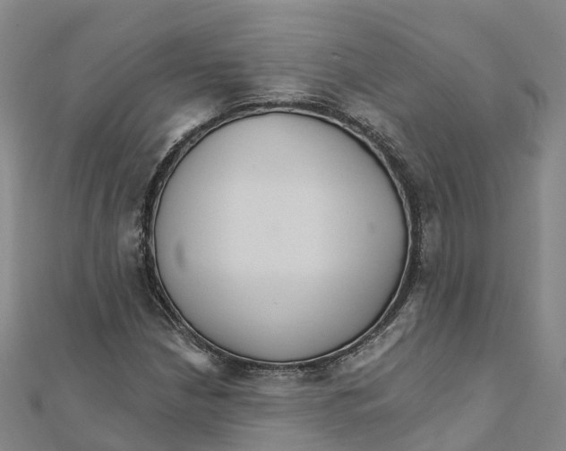 X0000111511210200908111301