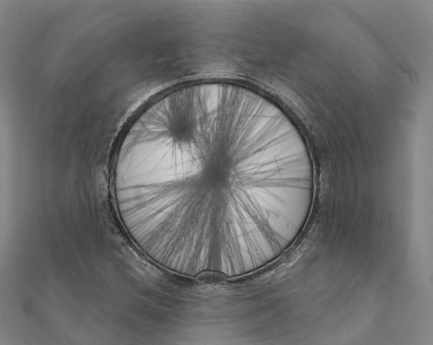 X0000111511212200908111301