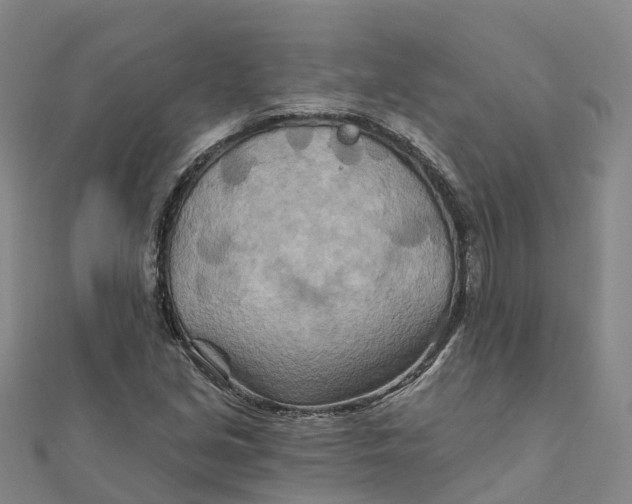 X0000111511213200908111301