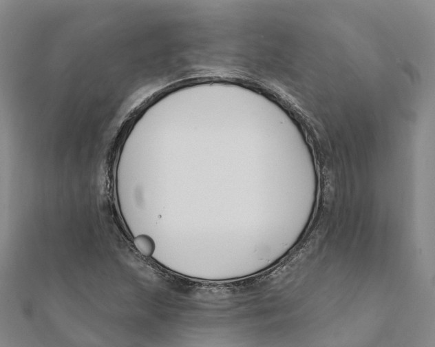 X0000111511215200908111301