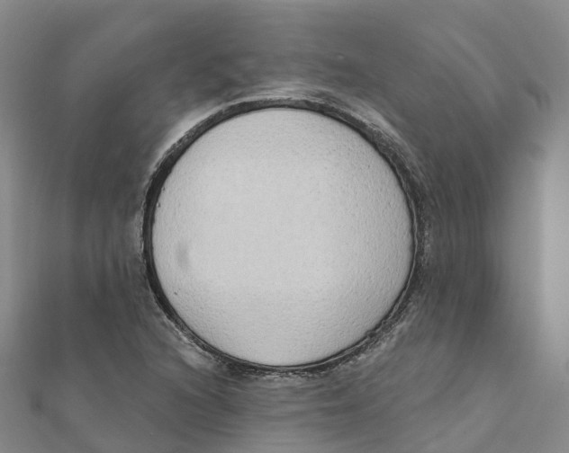 X0000111511216200908111301