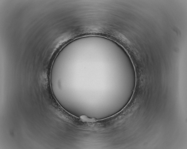X0000111511218200908111301