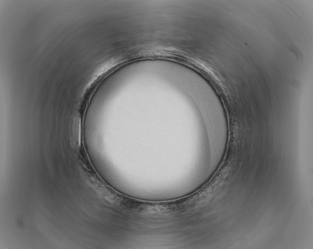X0000111511219200908111301