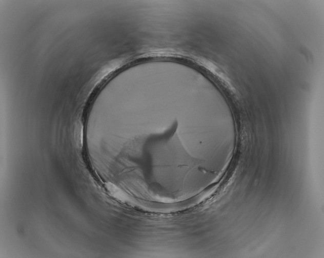 X0000111511221200908111301