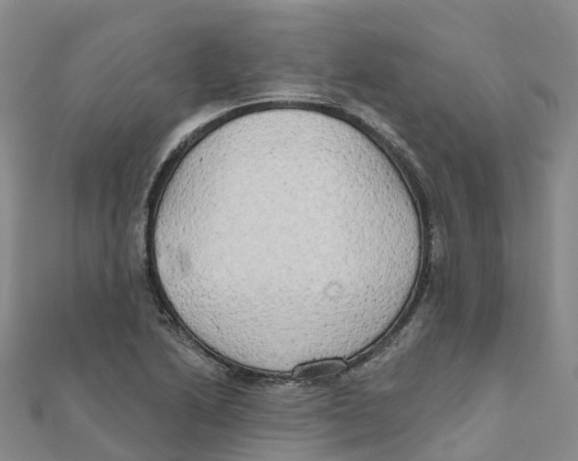X0000111511222200908111301