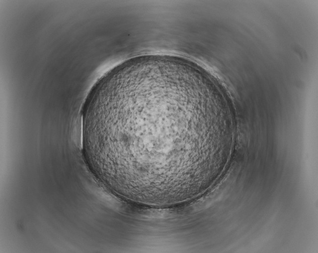 X0000111511223200908111302