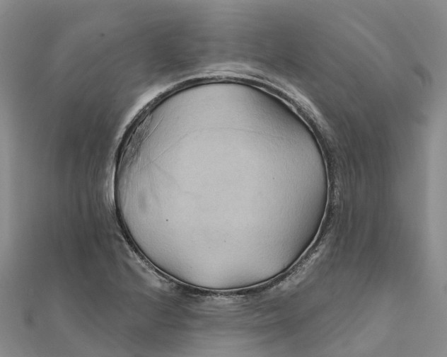 X0000111511224200908111302