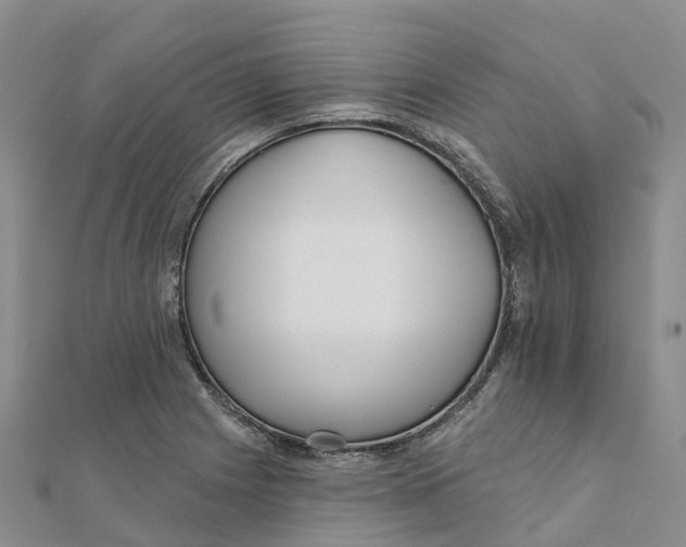 X0000111511225200908111302
