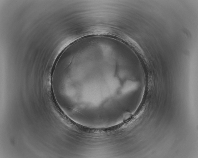 X0000111511226200908111302