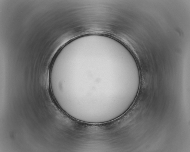X0000111511227200908111302