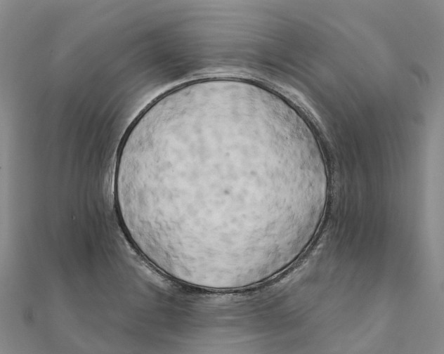 X0000111511228200908111302