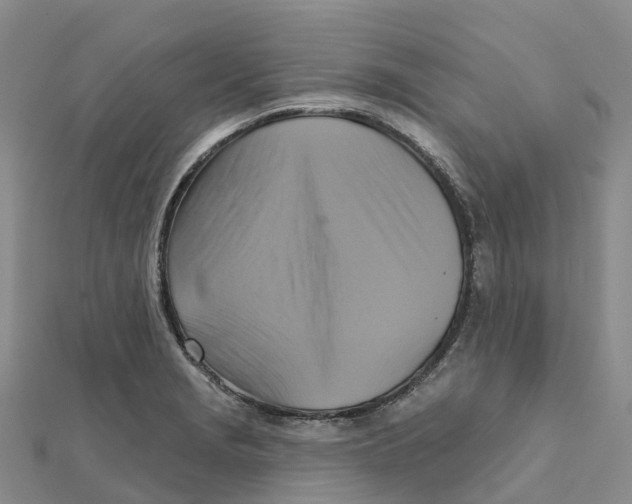 X0000111511229200908111302