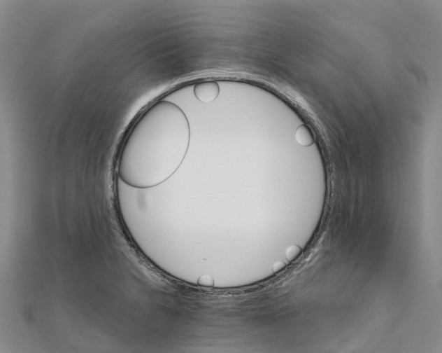 X0000111511230200908111302