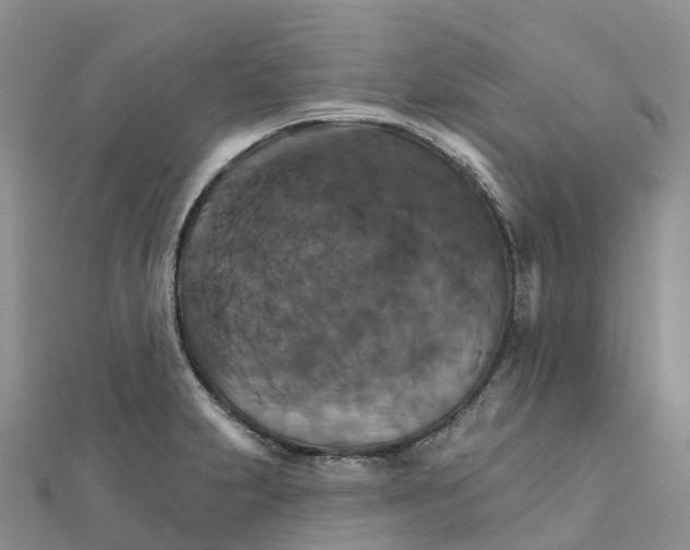 X0000111511231200908111302
