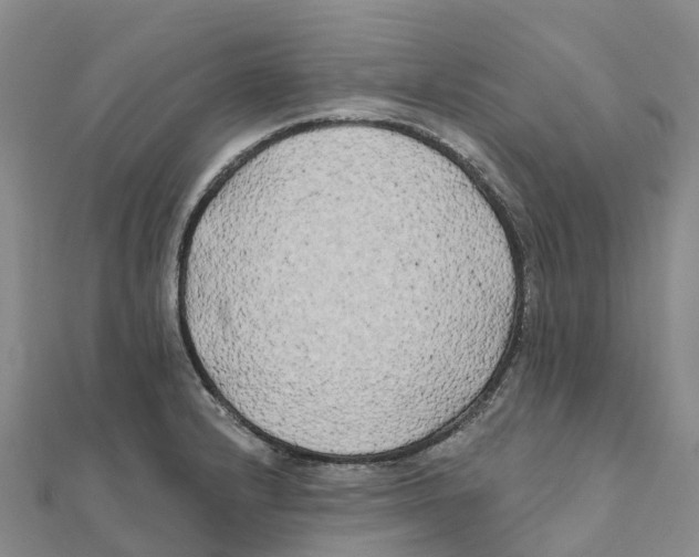 X0000111511232200908111302