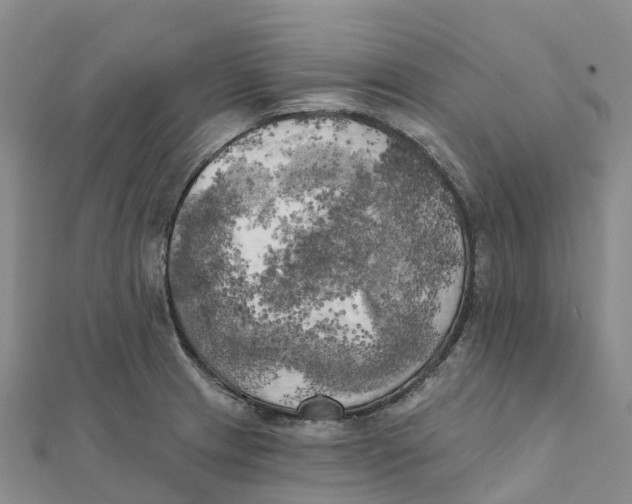 X0000111511233200908111302