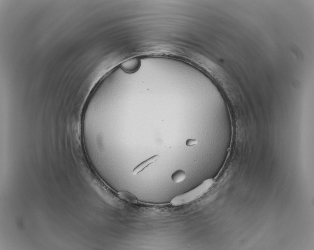X0000111511234200908111302