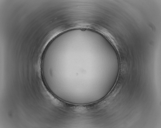 X0000111511235200908111302