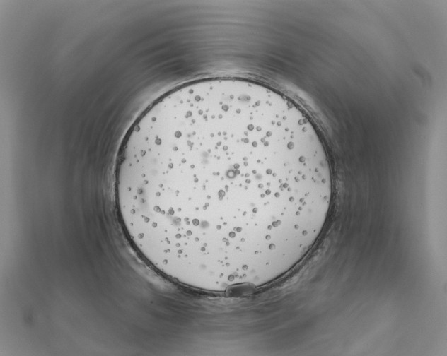X0000111511236200908111302